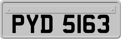 PYD5163