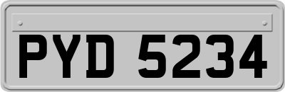 PYD5234