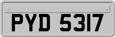 PYD5317