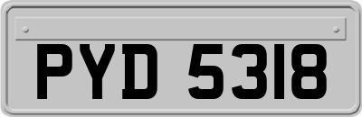 PYD5318