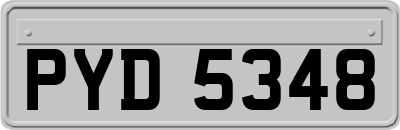 PYD5348