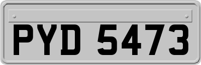 PYD5473