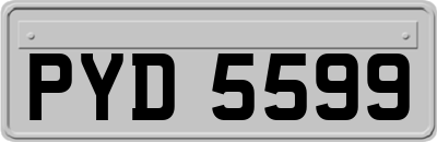 PYD5599