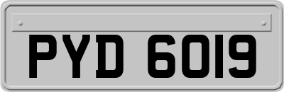 PYD6019