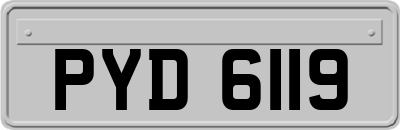 PYD6119