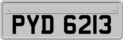 PYD6213