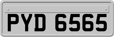 PYD6565