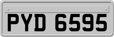 PYD6595