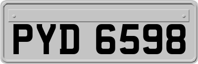 PYD6598