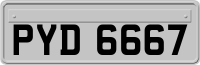 PYD6667