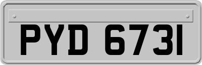 PYD6731