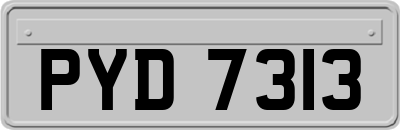 PYD7313