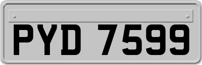 PYD7599