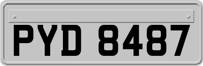 PYD8487