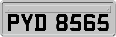 PYD8565