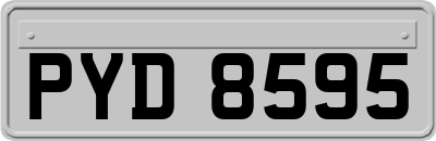 PYD8595