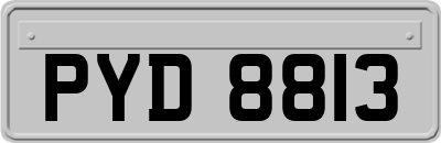 PYD8813