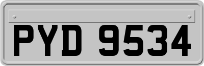 PYD9534