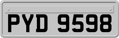 PYD9598