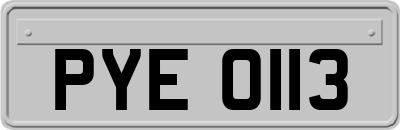 PYE0113