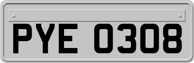 PYE0308