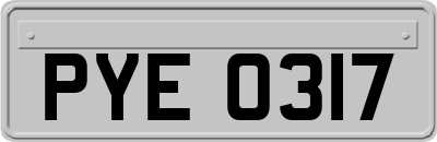 PYE0317