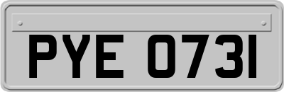 PYE0731