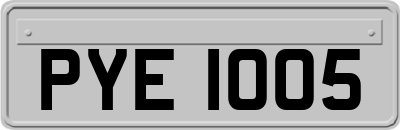 PYE1005