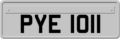 PYE1011