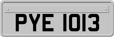 PYE1013