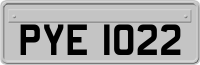 PYE1022