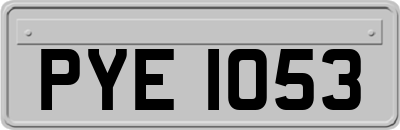 PYE1053