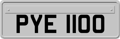 PYE1100