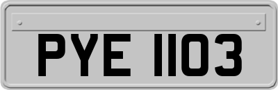 PYE1103