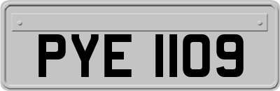 PYE1109