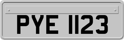 PYE1123