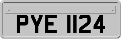 PYE1124