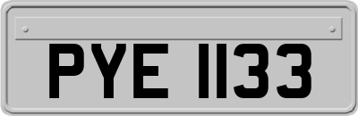 PYE1133