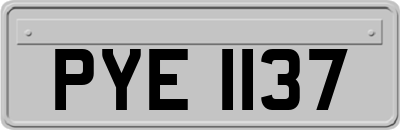 PYE1137