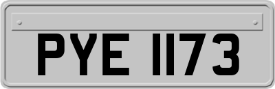 PYE1173