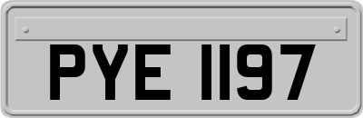 PYE1197