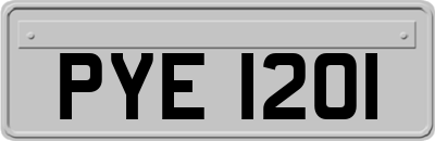 PYE1201