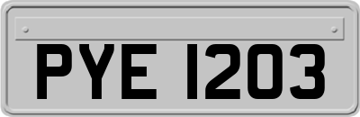 PYE1203