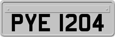 PYE1204