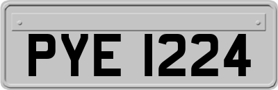 PYE1224