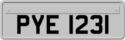 PYE1231