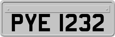 PYE1232