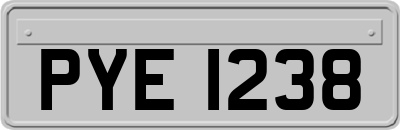 PYE1238