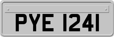 PYE1241