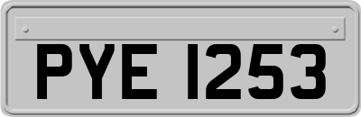 PYE1253